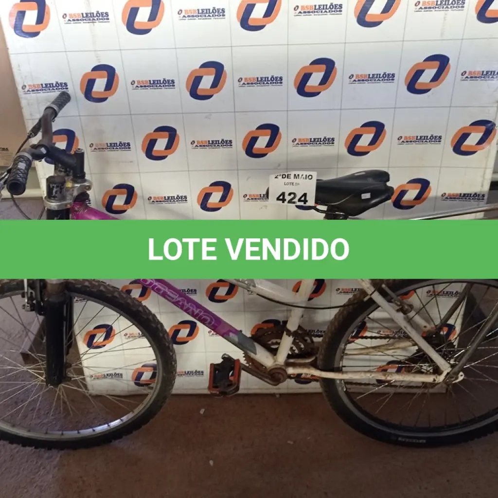 LOTE 424