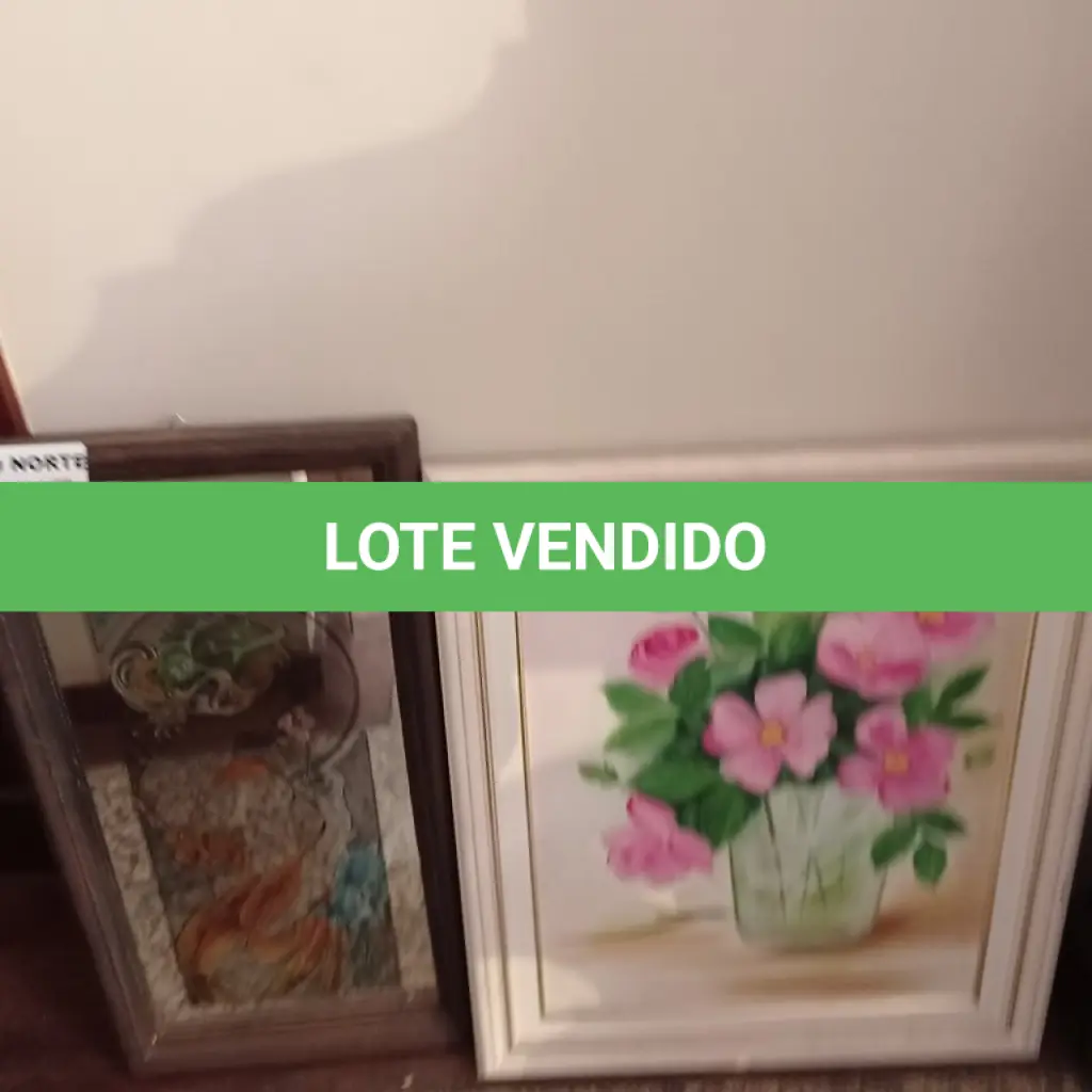 LOTE 290