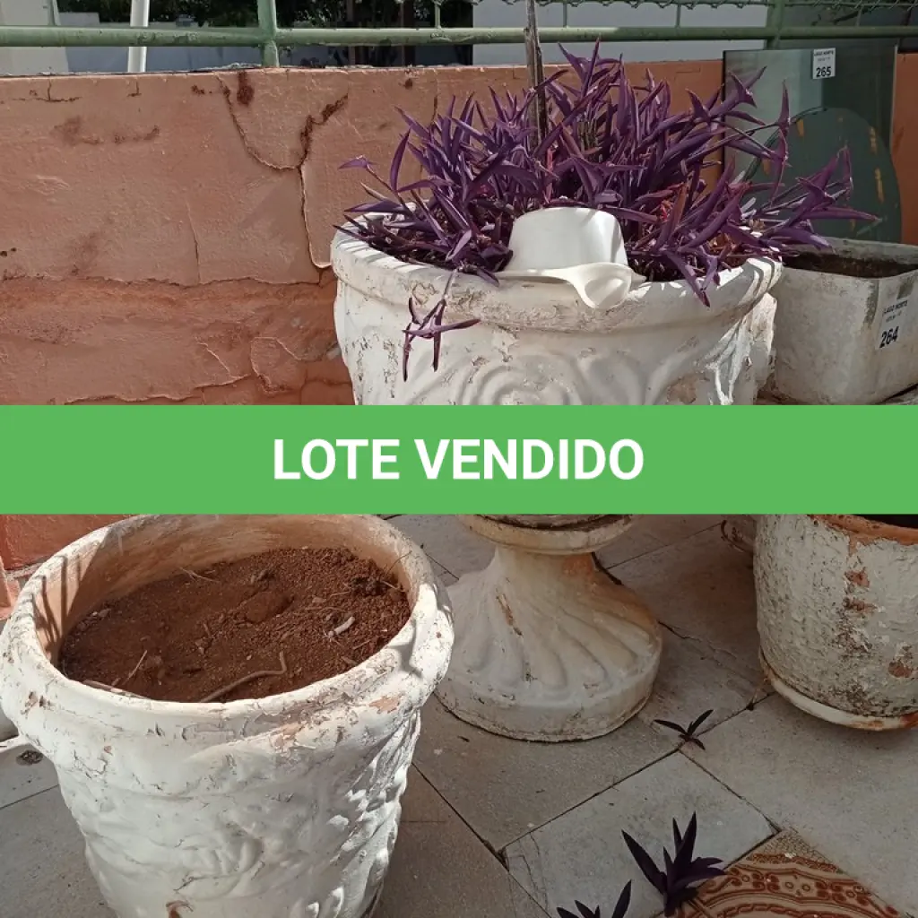LOTE 264