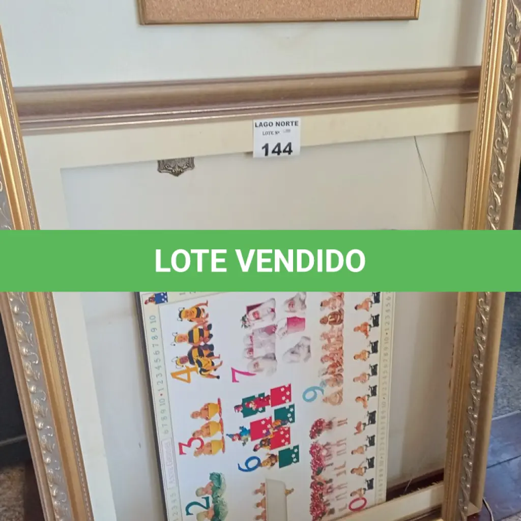 LOTE 144