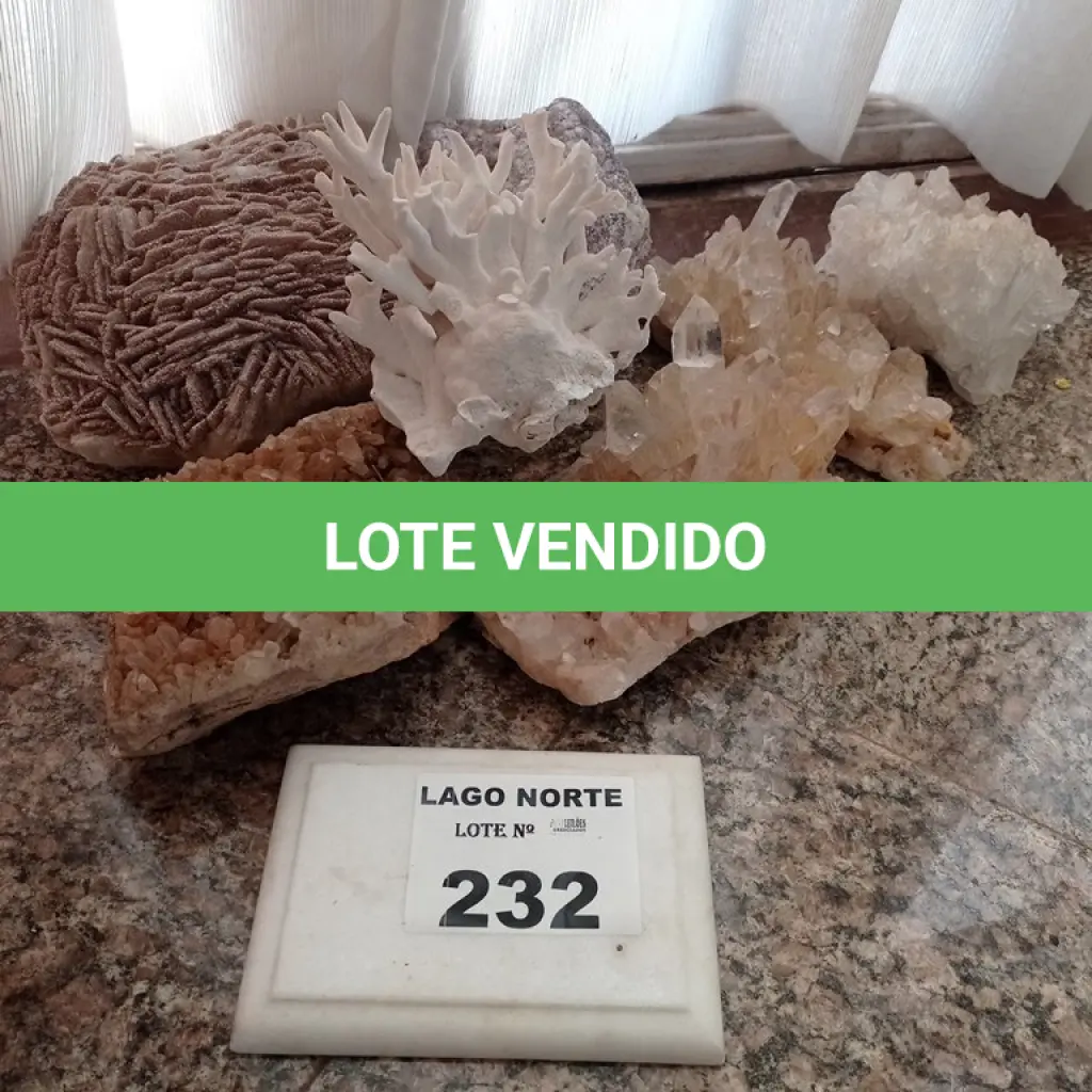 LOTE 232