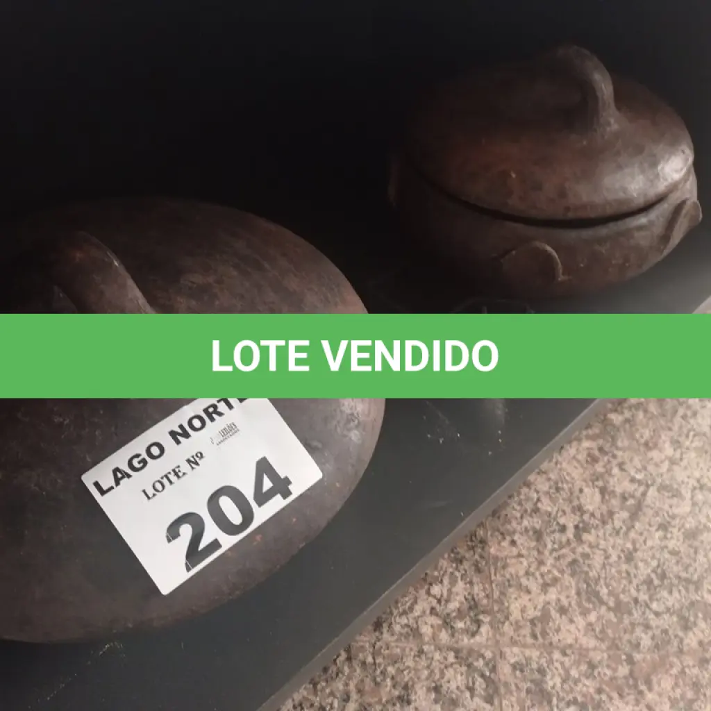LOTE 204