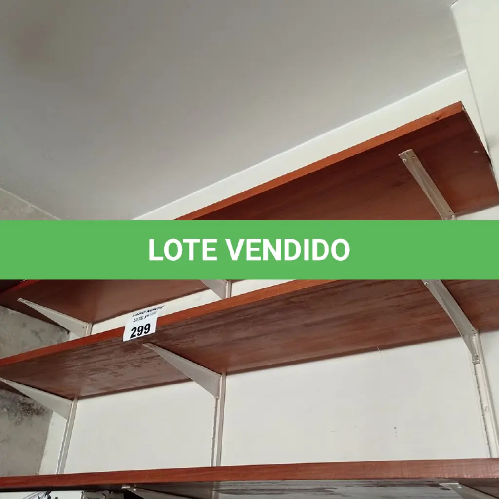 LOTE 299