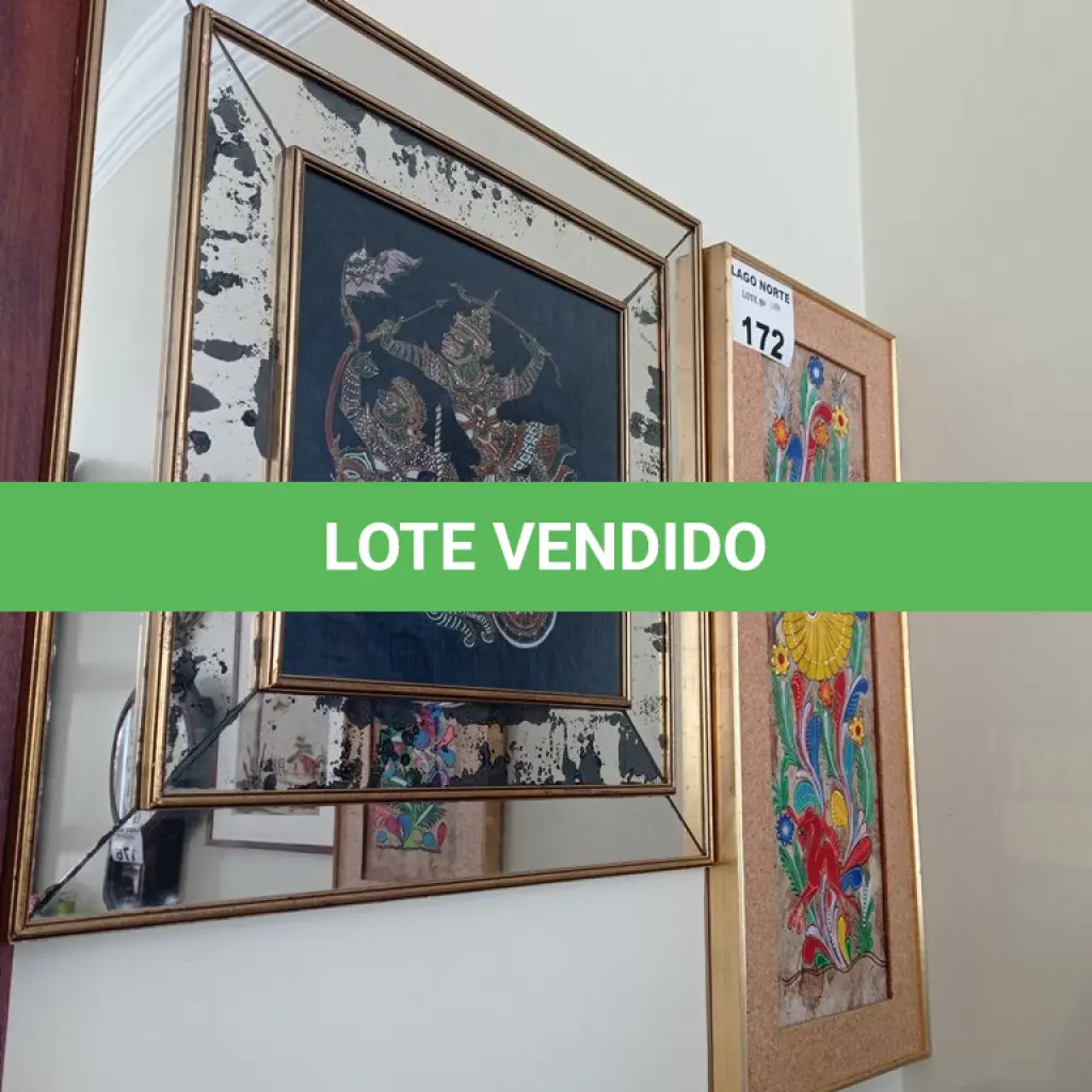 LOTE 172