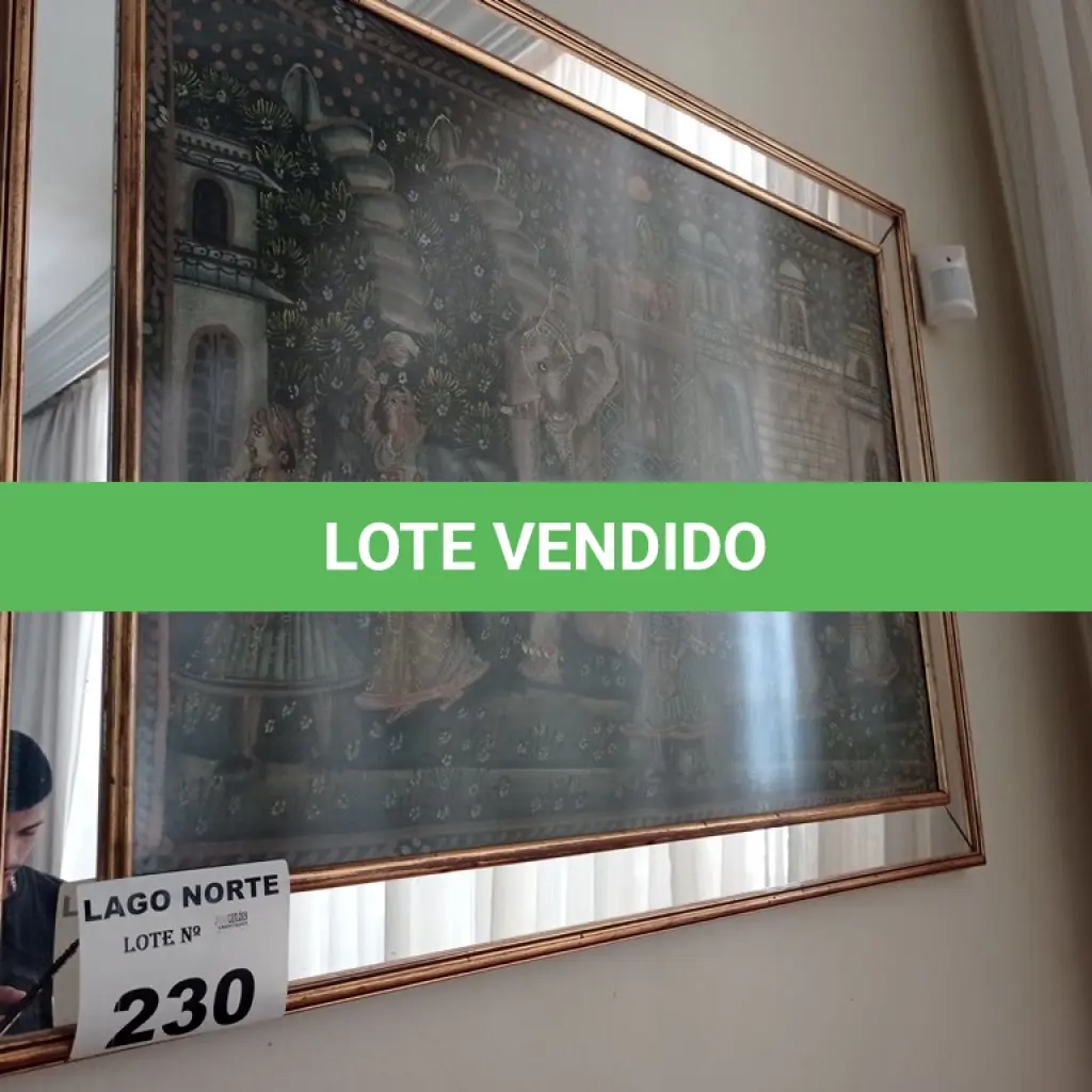 LOTE 230