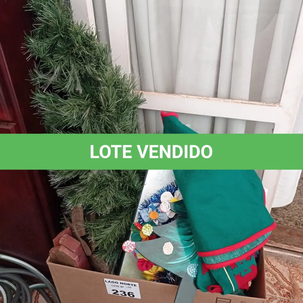 LOTE 236