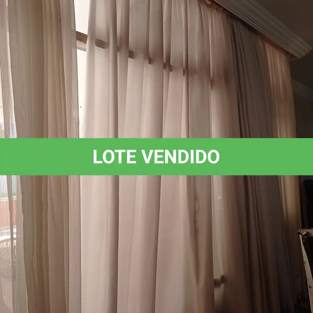 LOTE 233