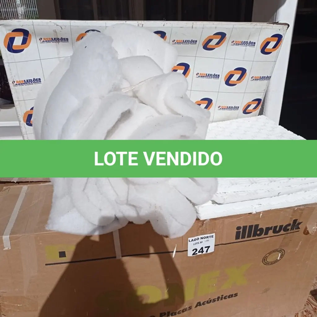 LOTE 247