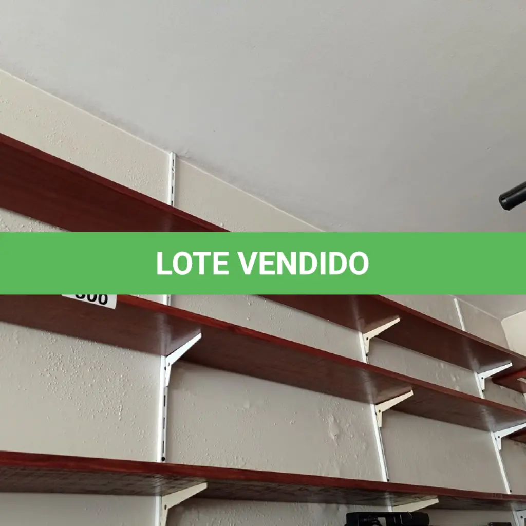 LOTE 300