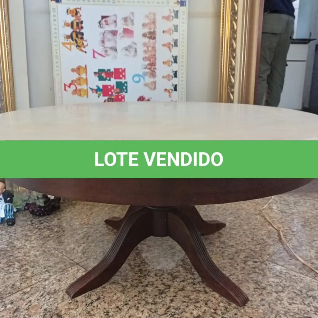 LOTE 146