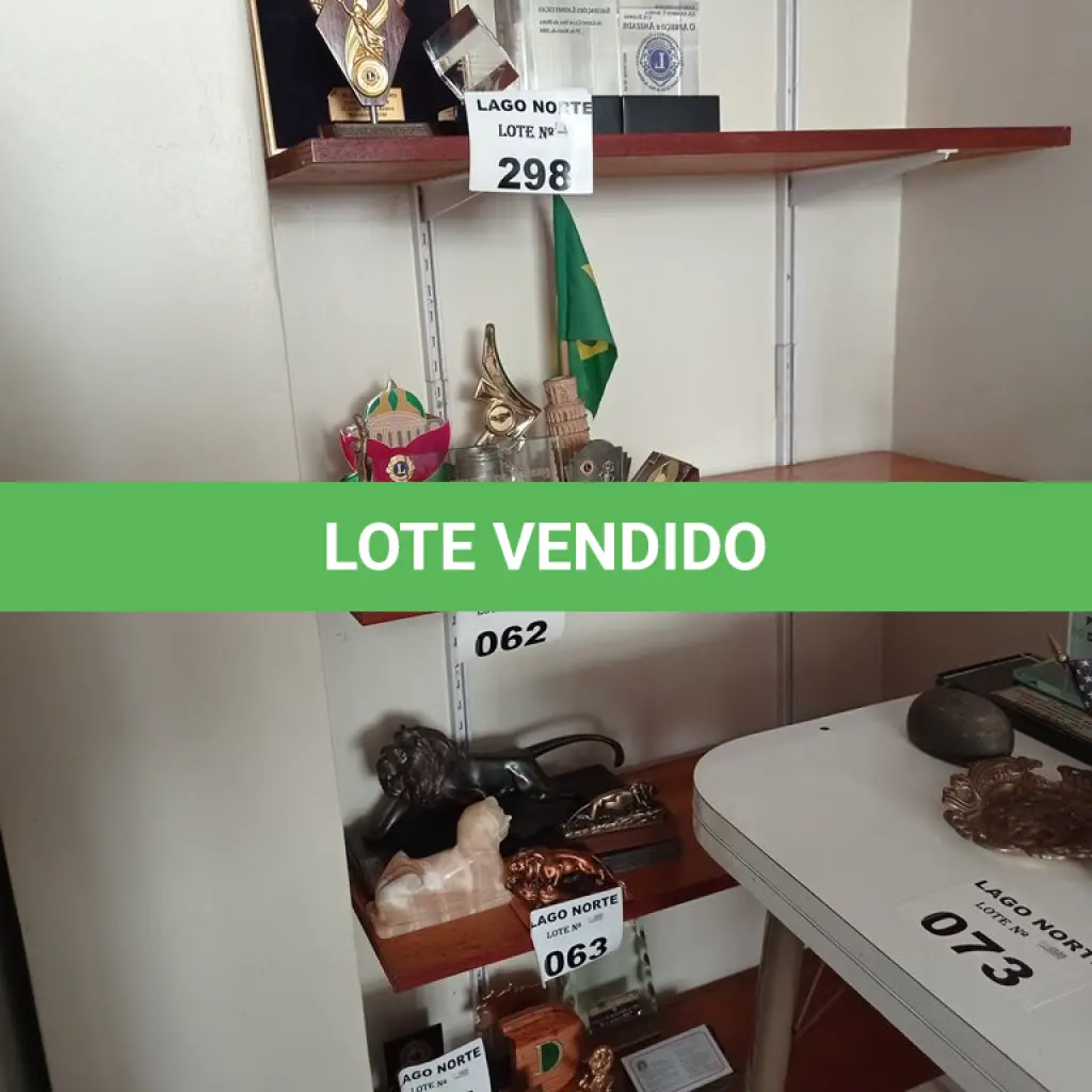LOTE 298