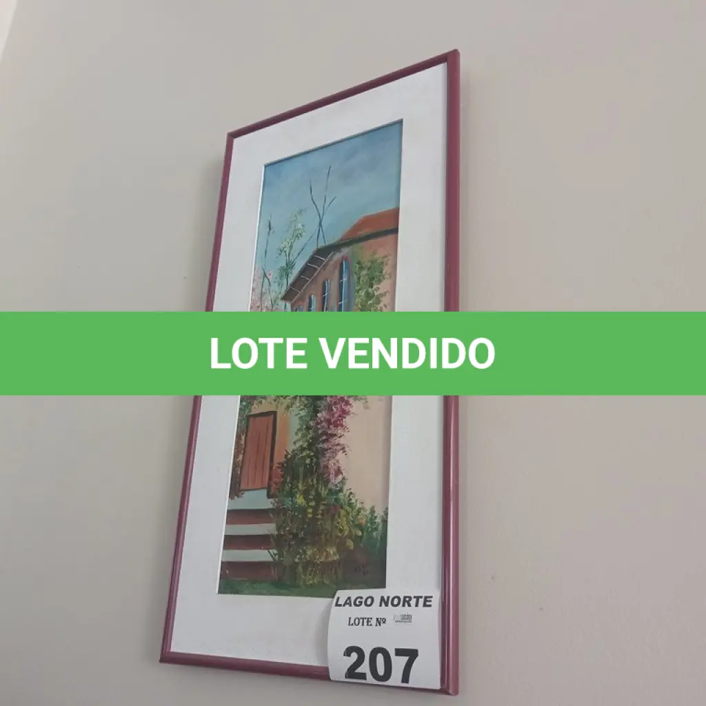 LOTE 207