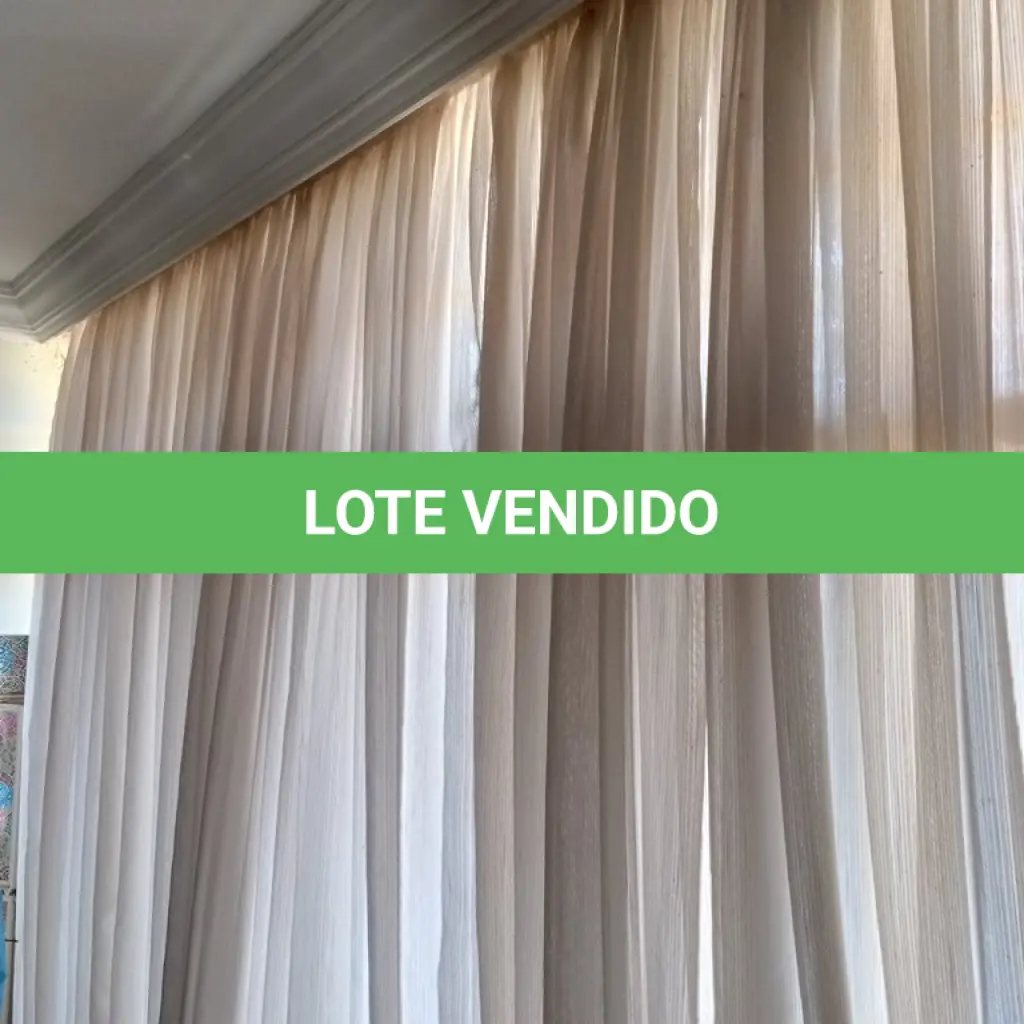 LOTE 133