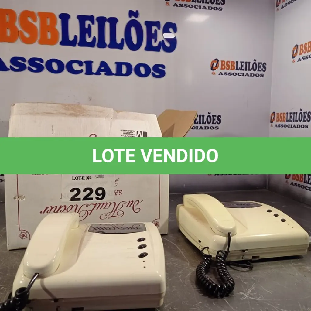 LOTE 229
