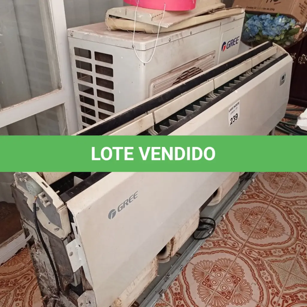 LOTE 239
