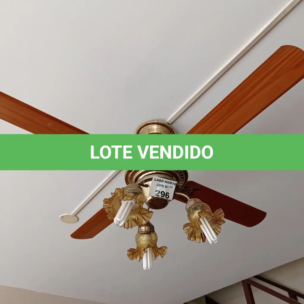 LOTE 296