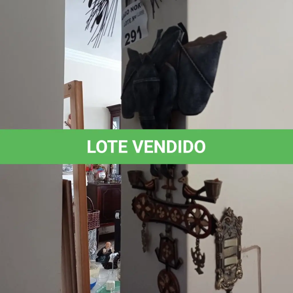 LOTE 291