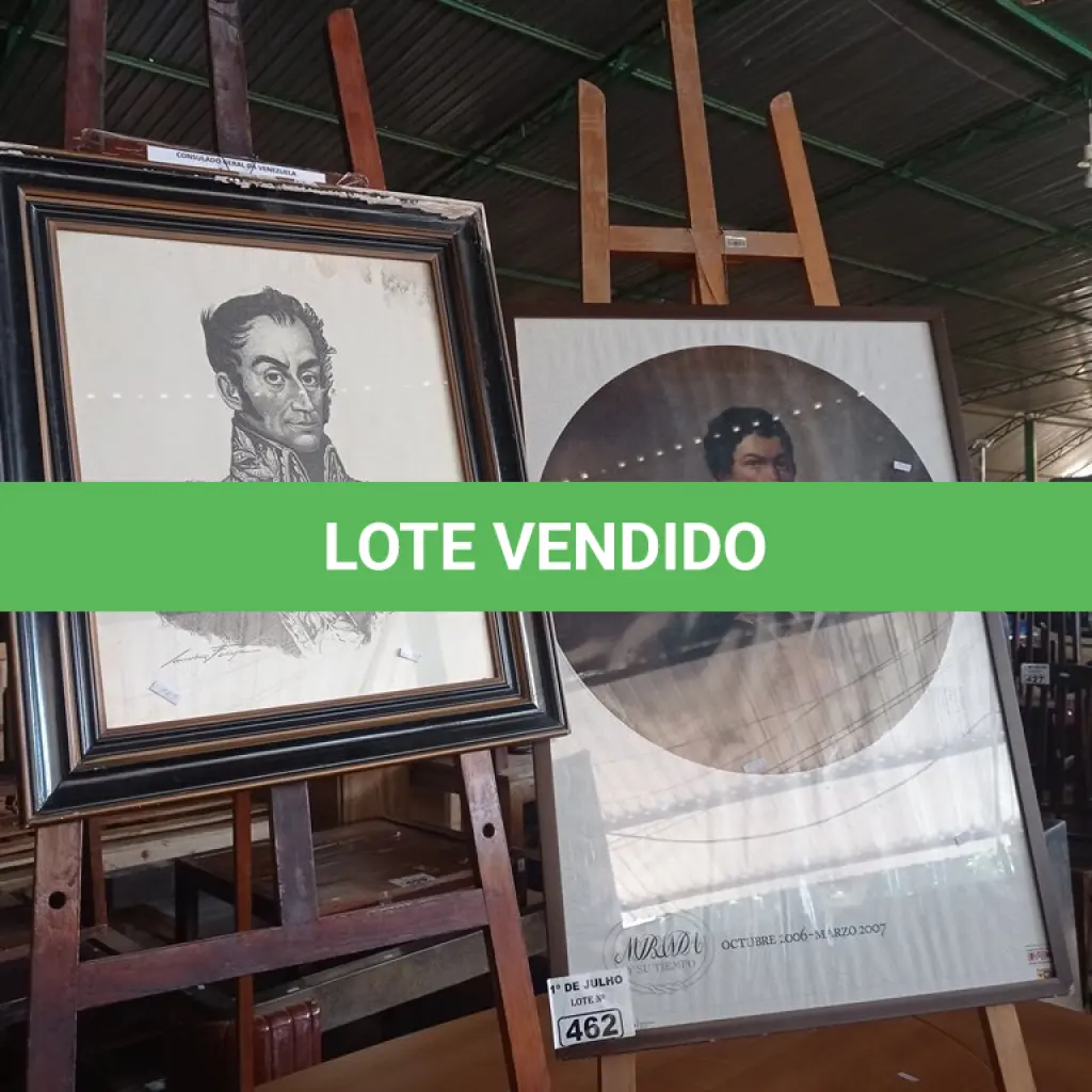 LOTE 462