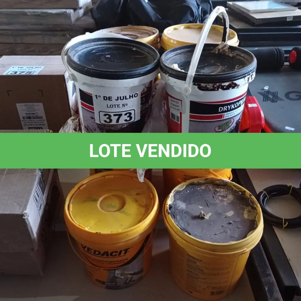 LOTE 373