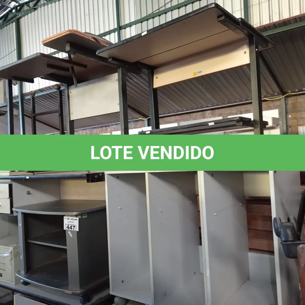 LOTE 447