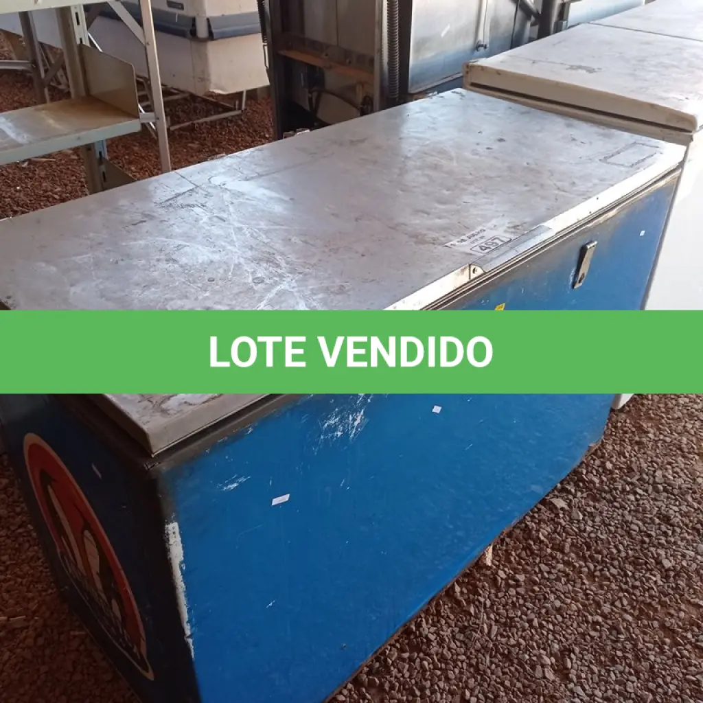 LOTE 497