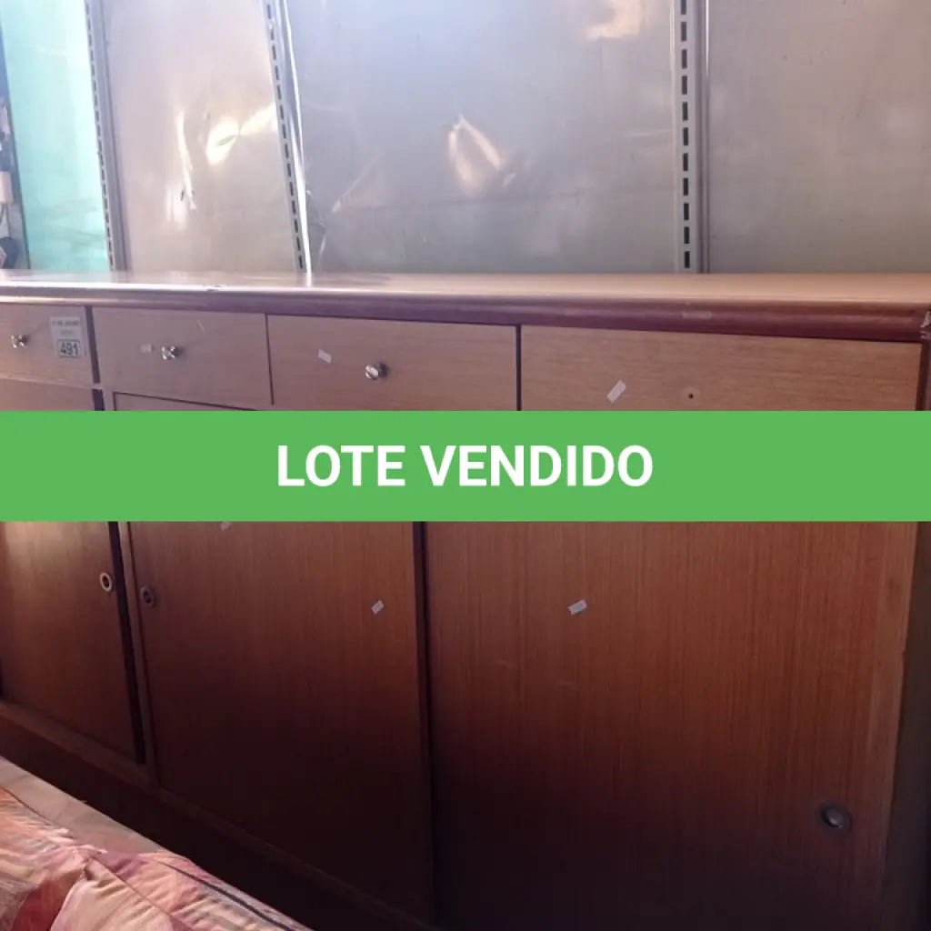 LOTE 491