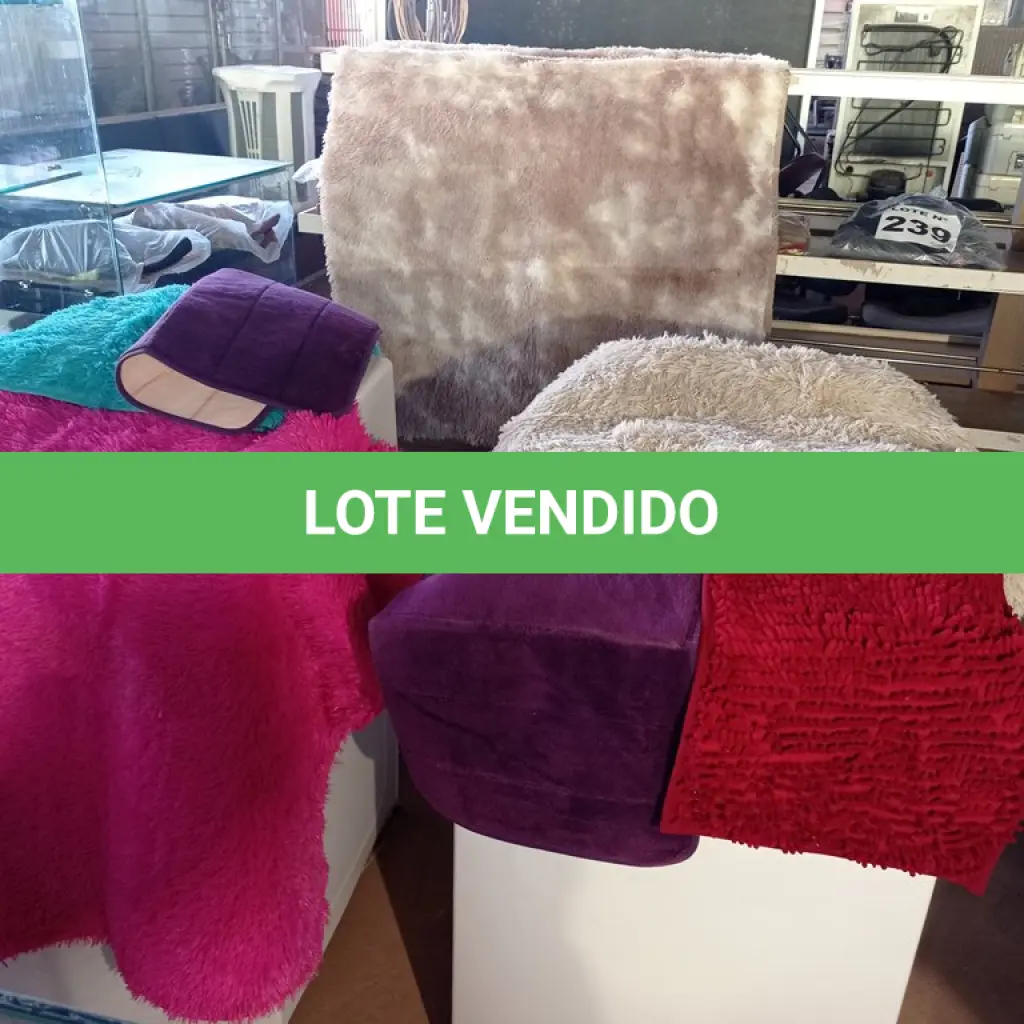 LOTE 248