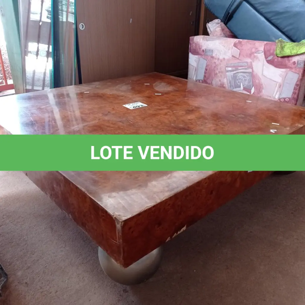 LOTE 493