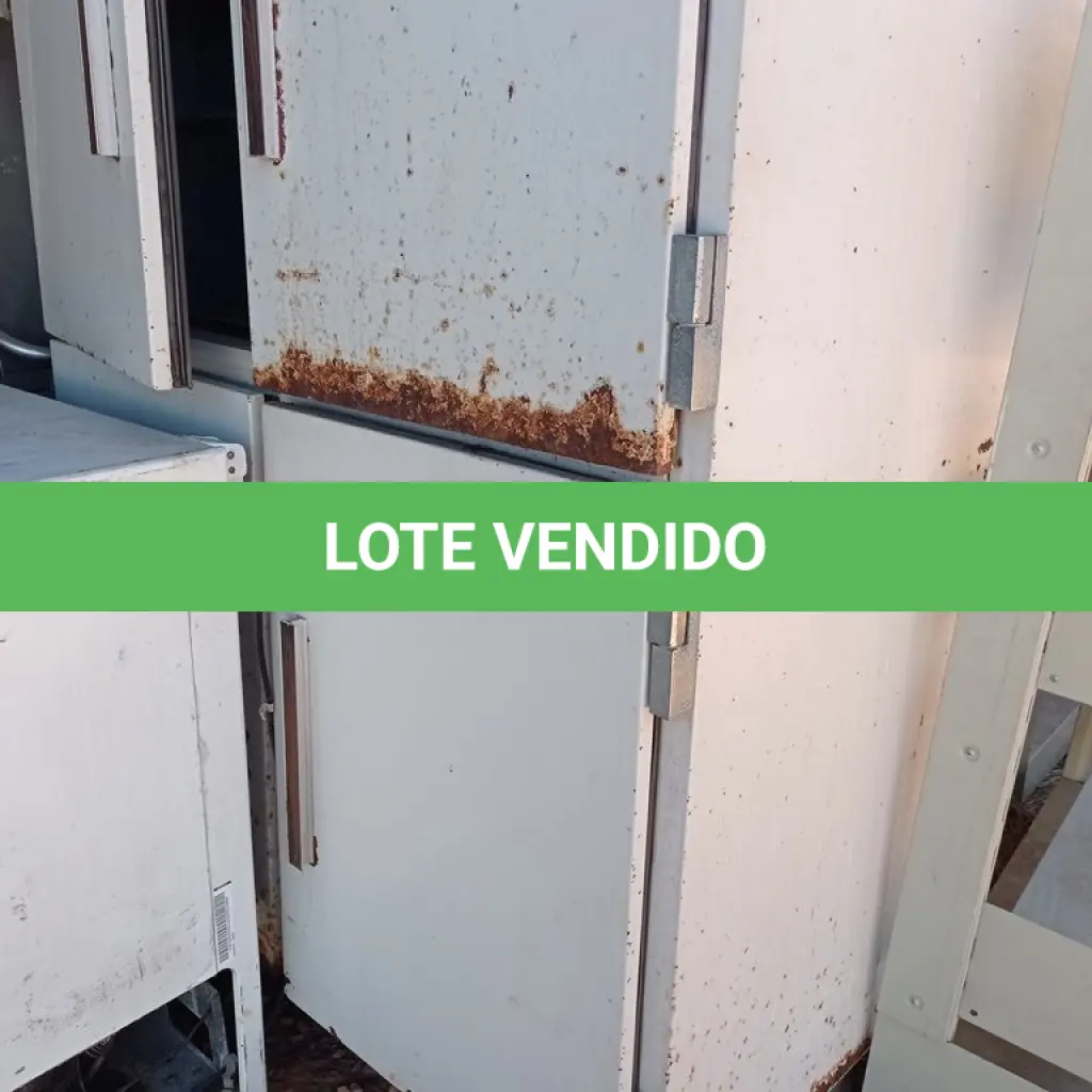 LOTE 498