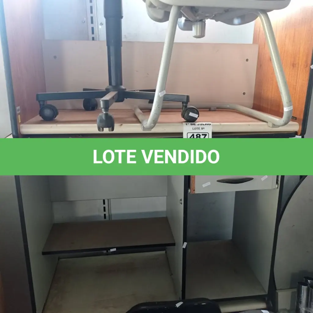 LOTE 487