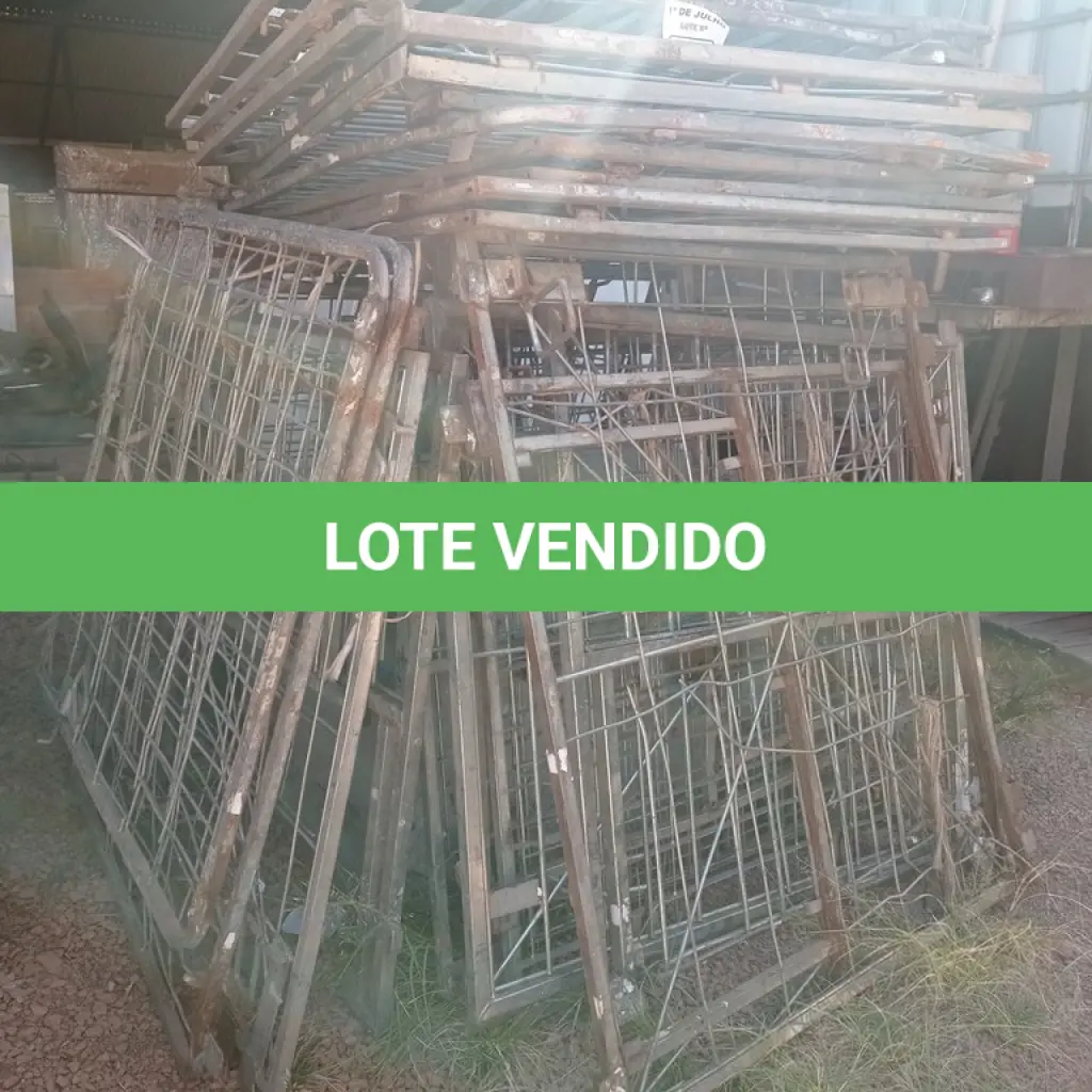 LOTE 503