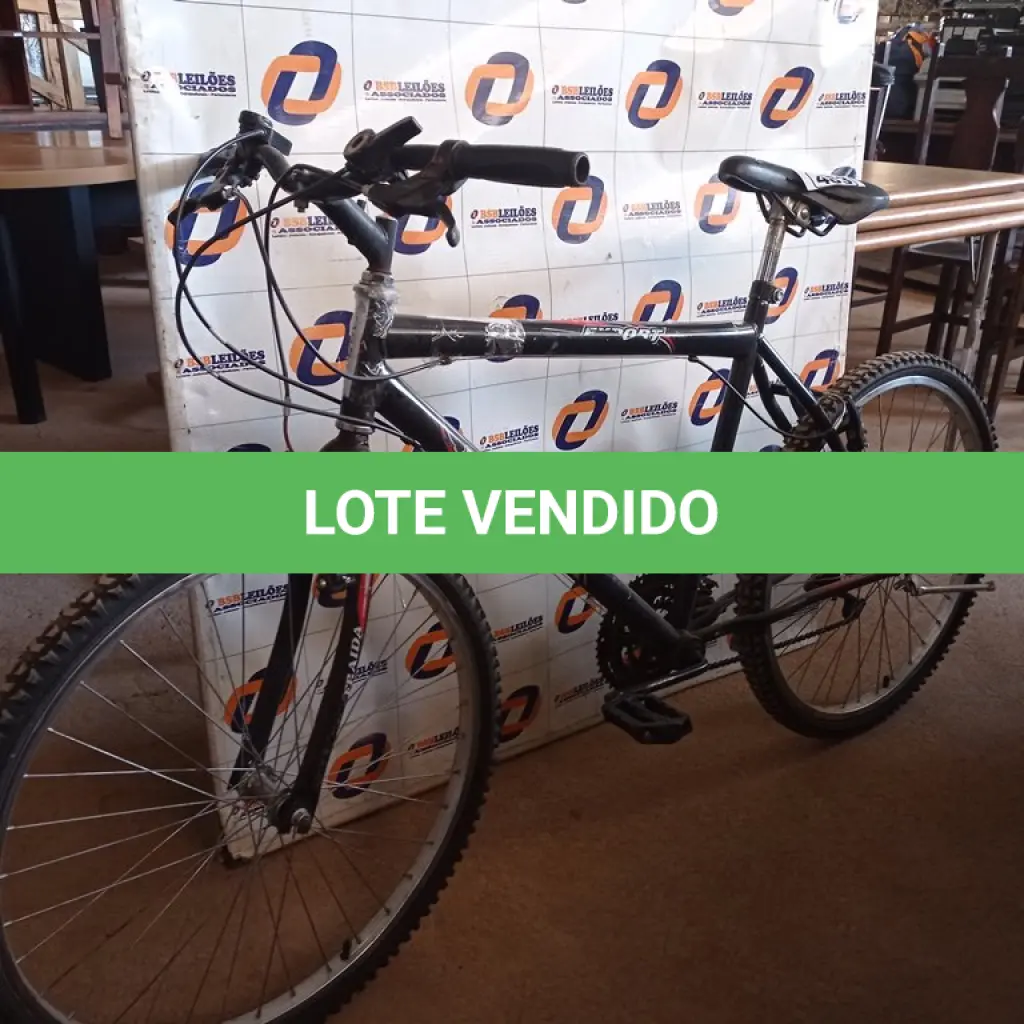 LOTE 483