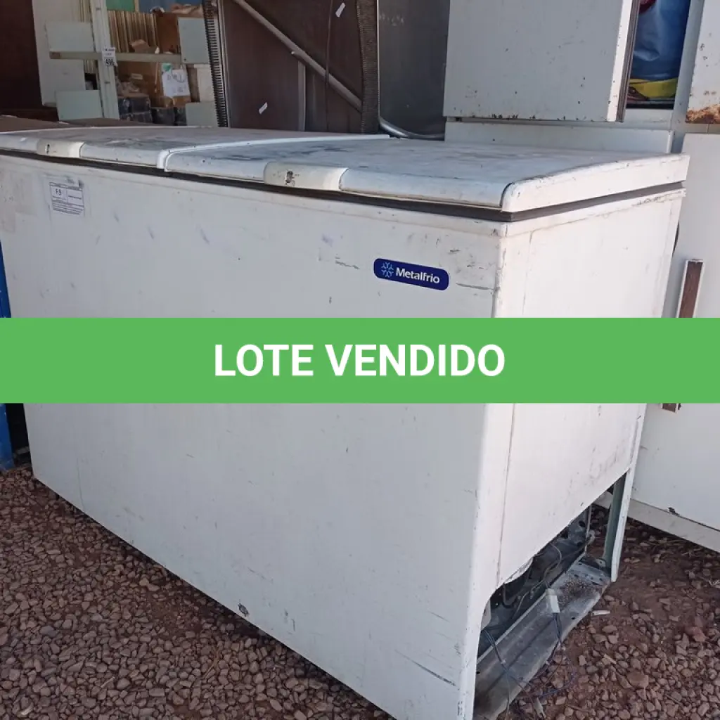 LOTE 499