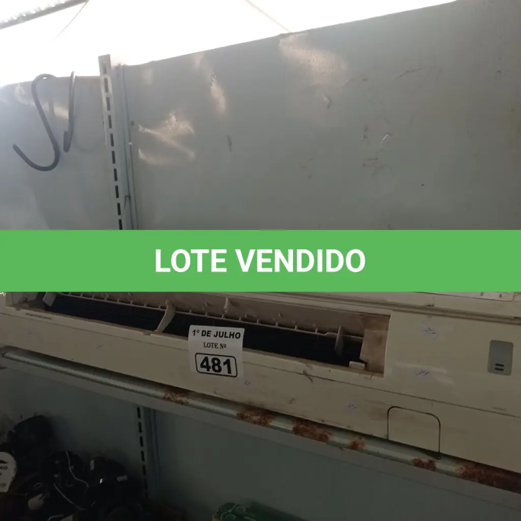 LOTE 481