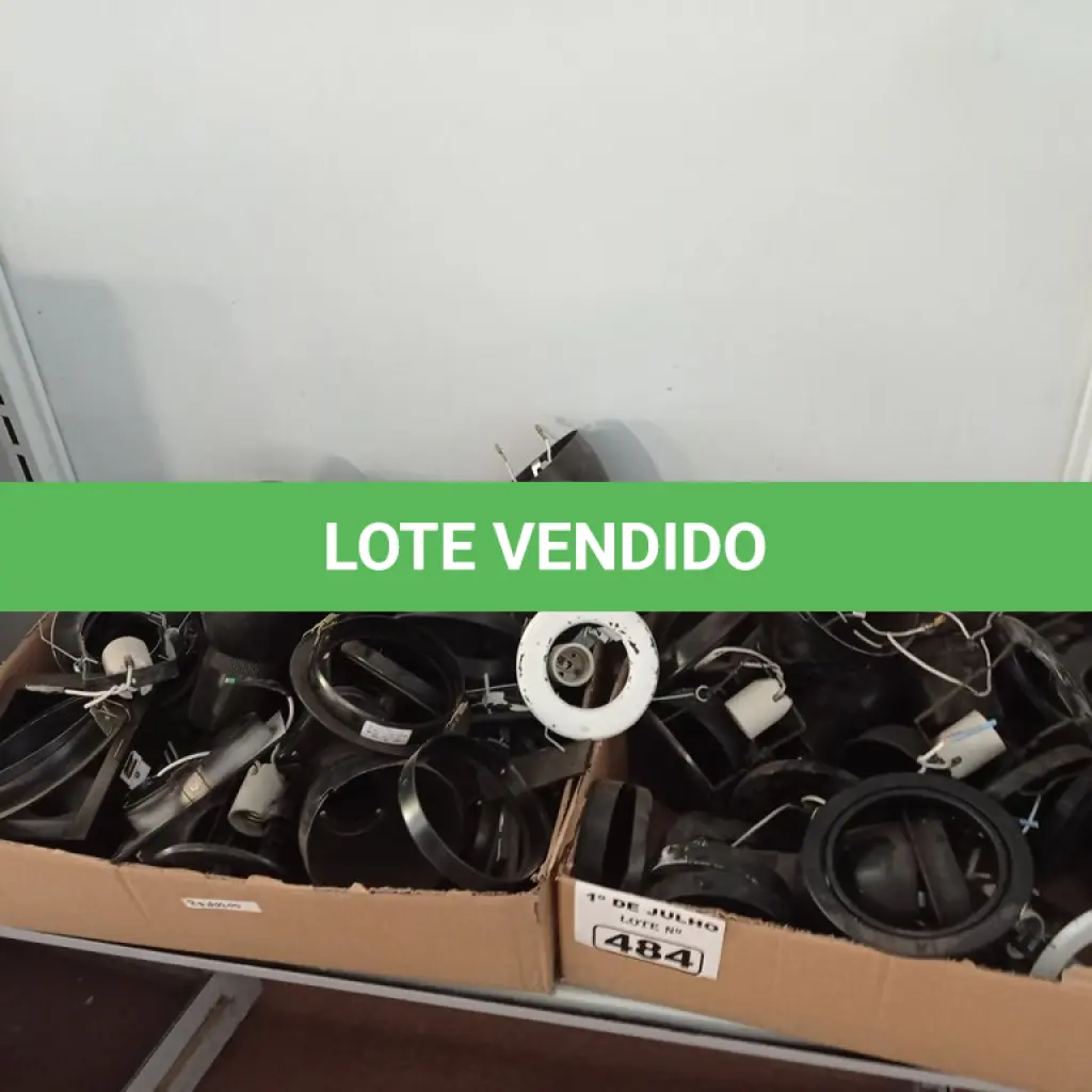 LOTE 484