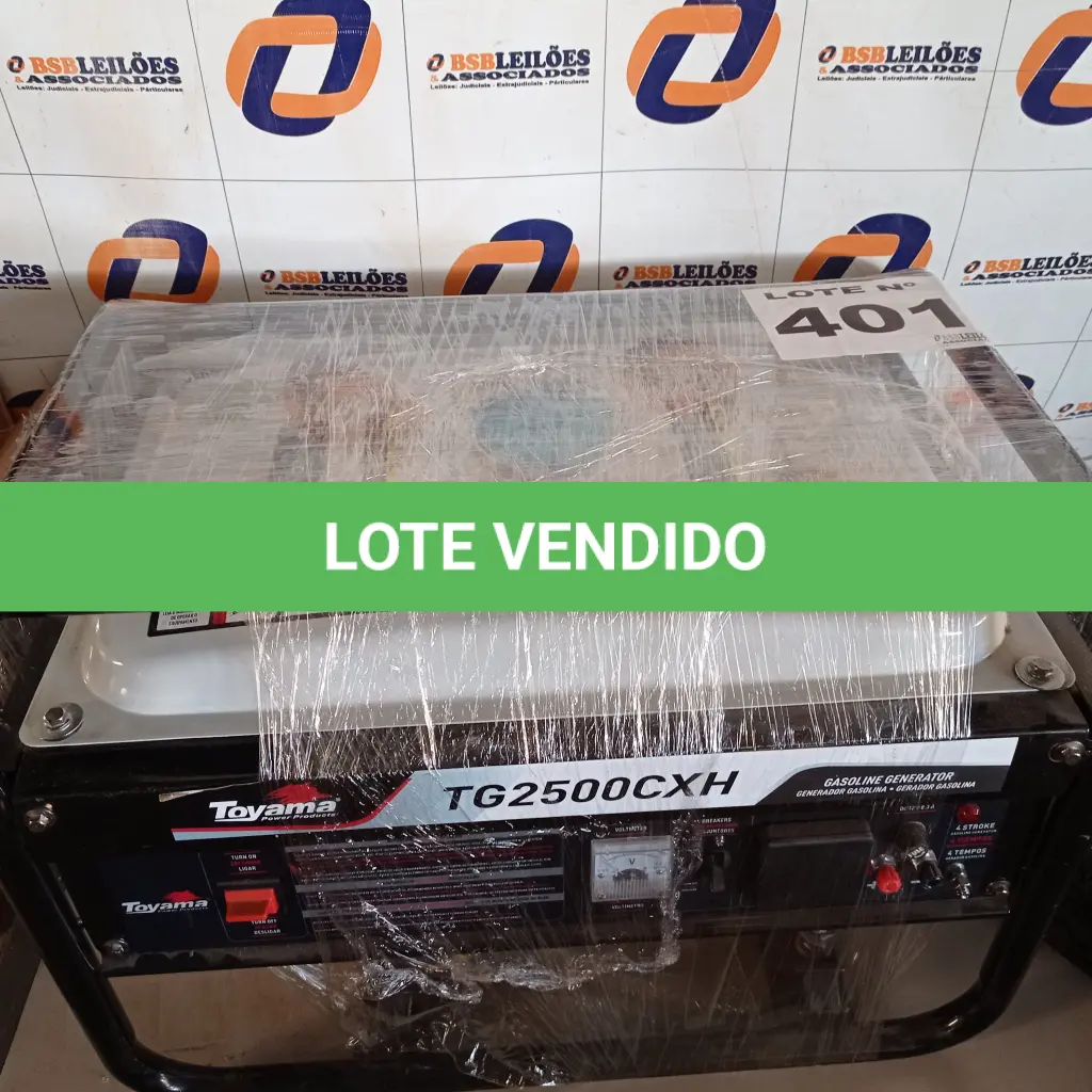 LOTE 401