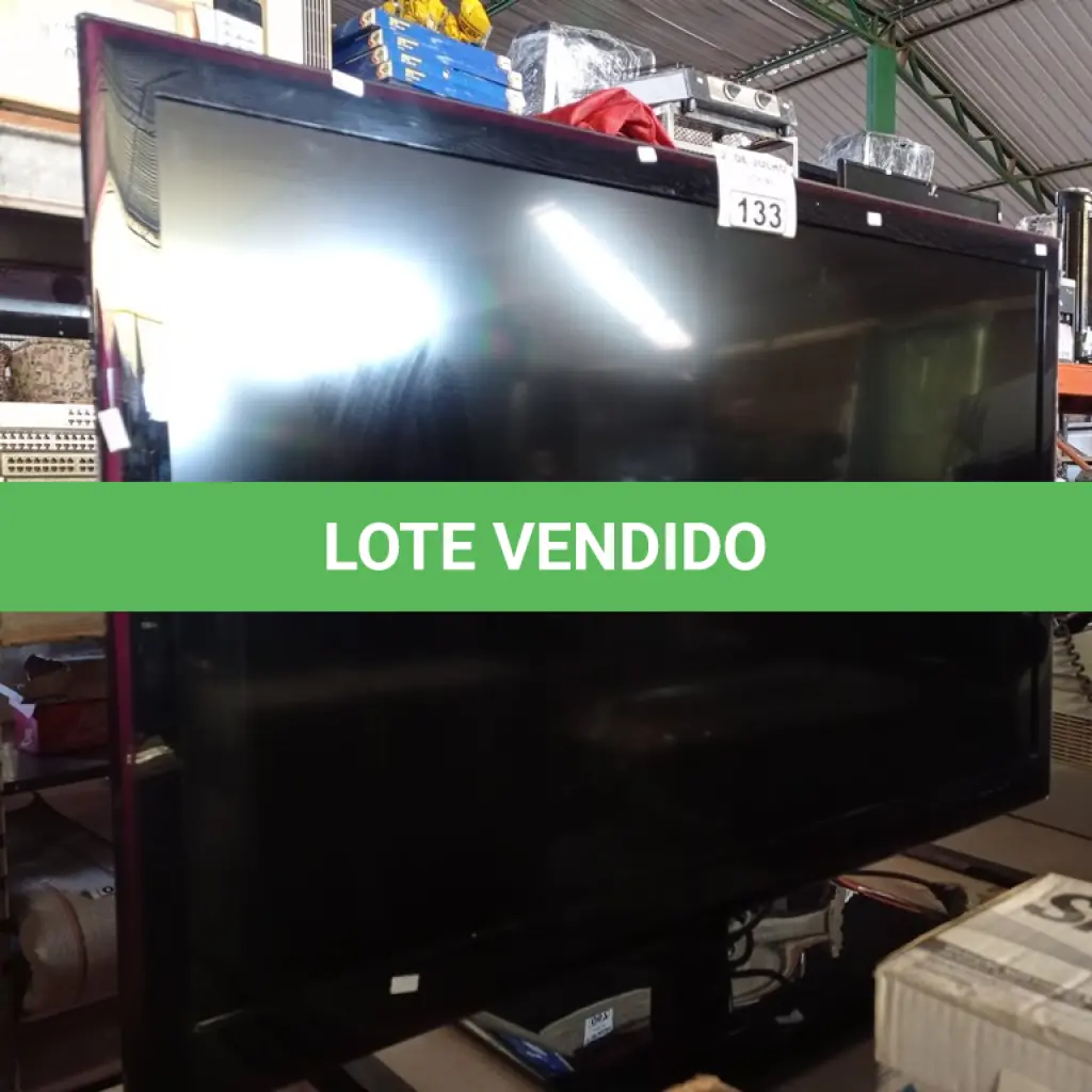 LOTE 133