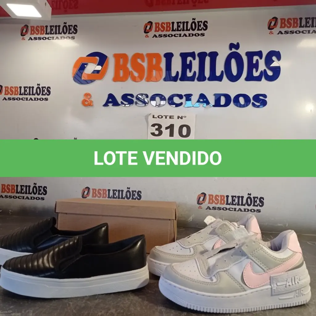 LOTE 310