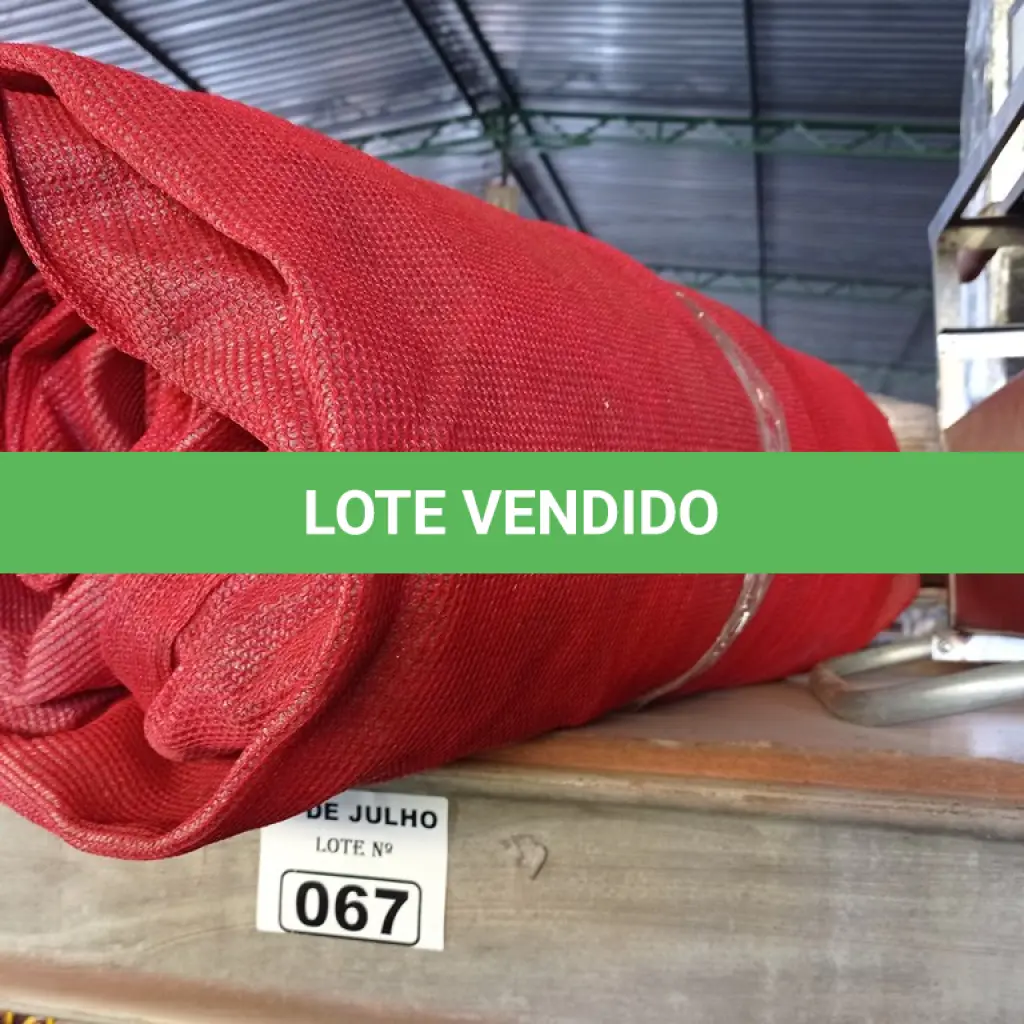 LOTE 067