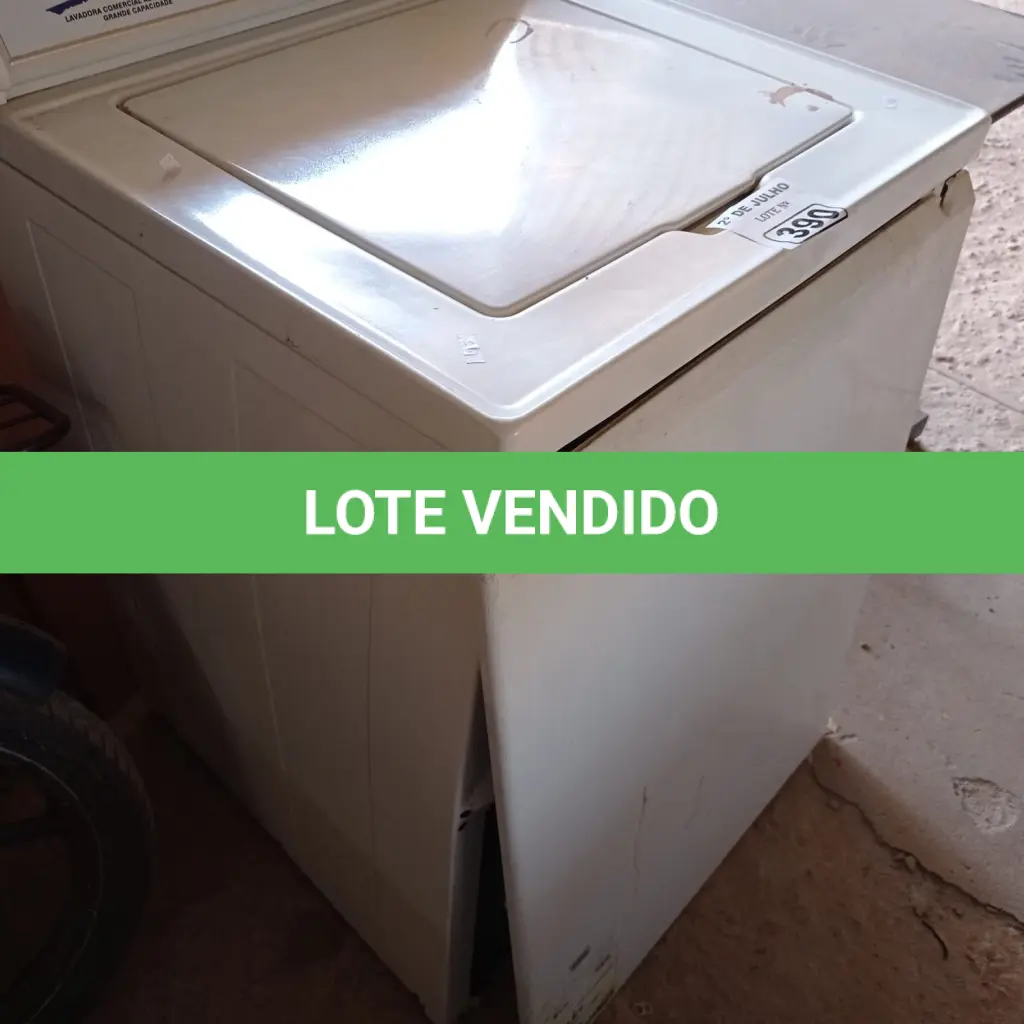 LOTE 390