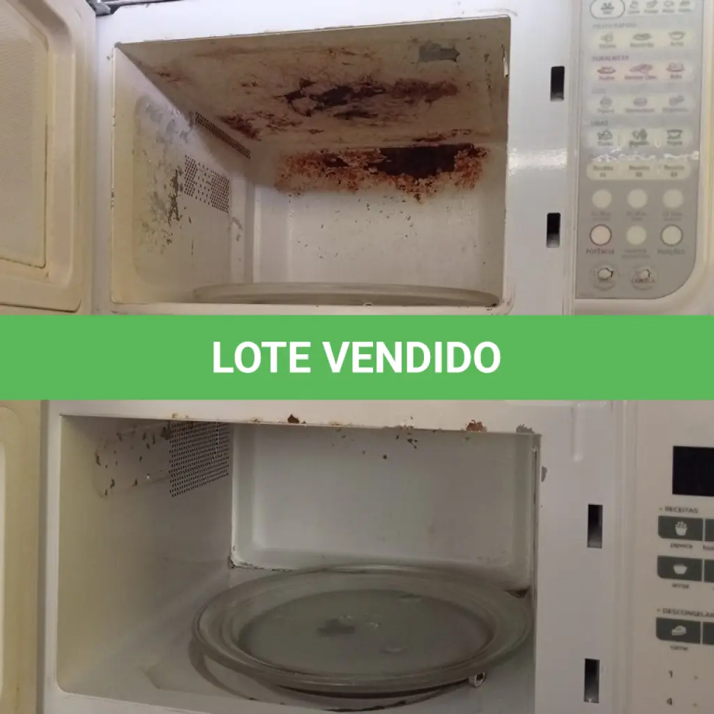 LOTE 497