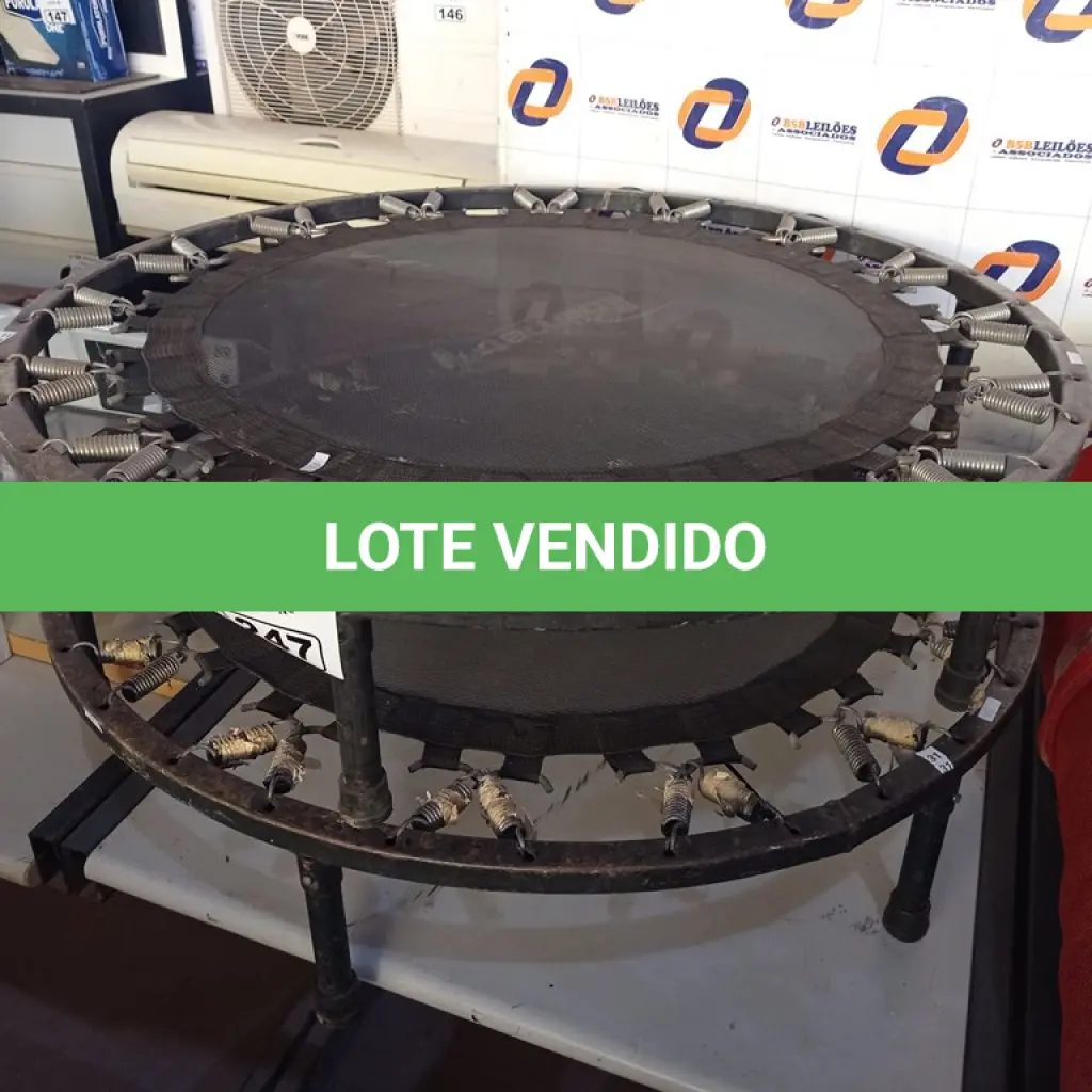 LOTE 247