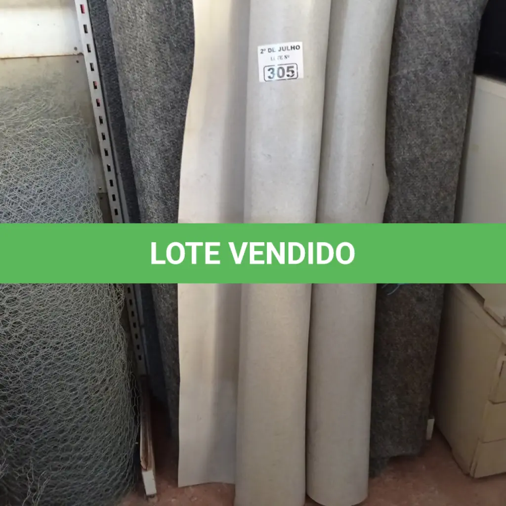 LOTE 305