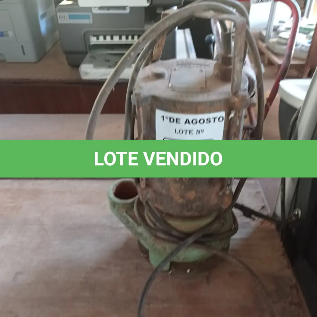 LOTE 365
