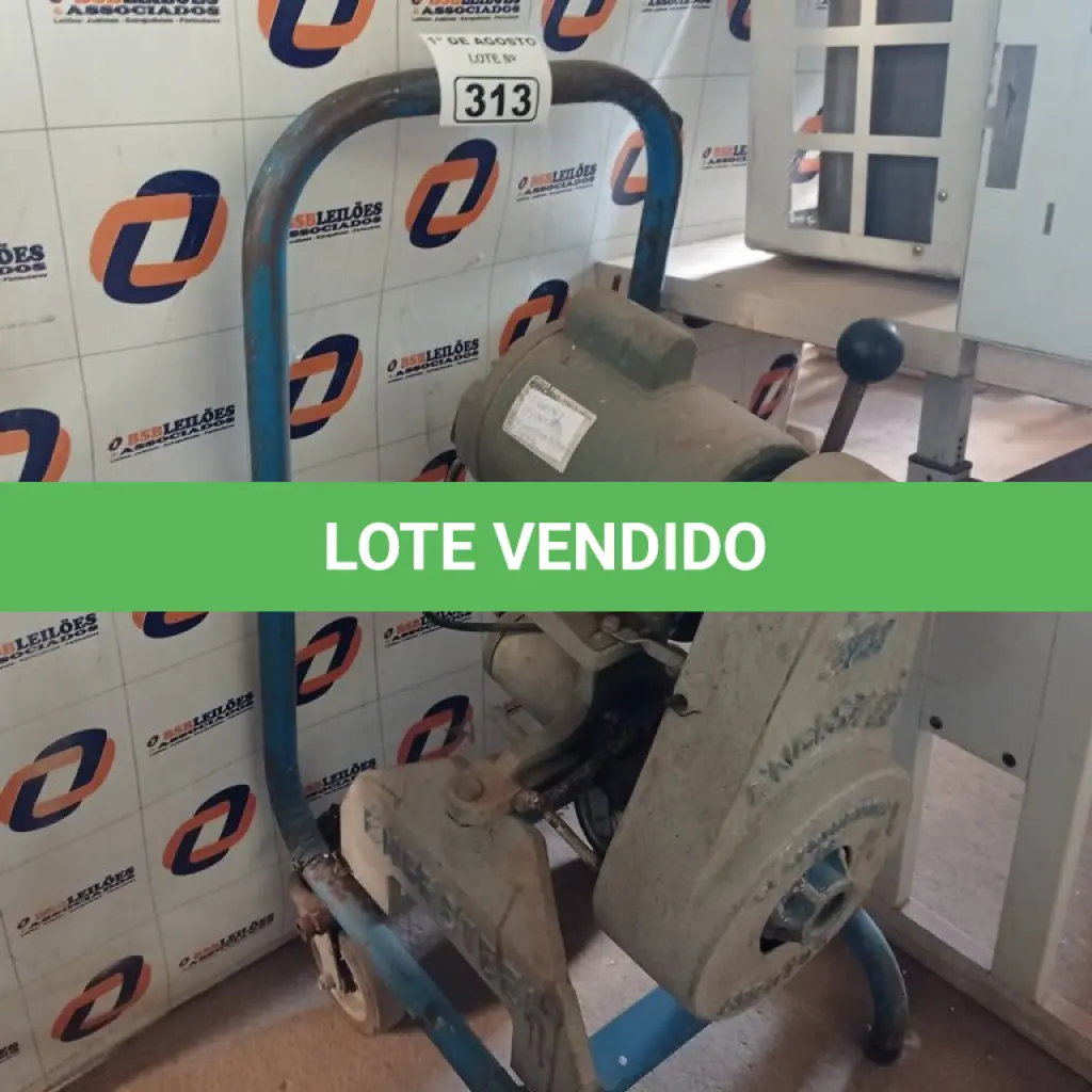 LOTE 313