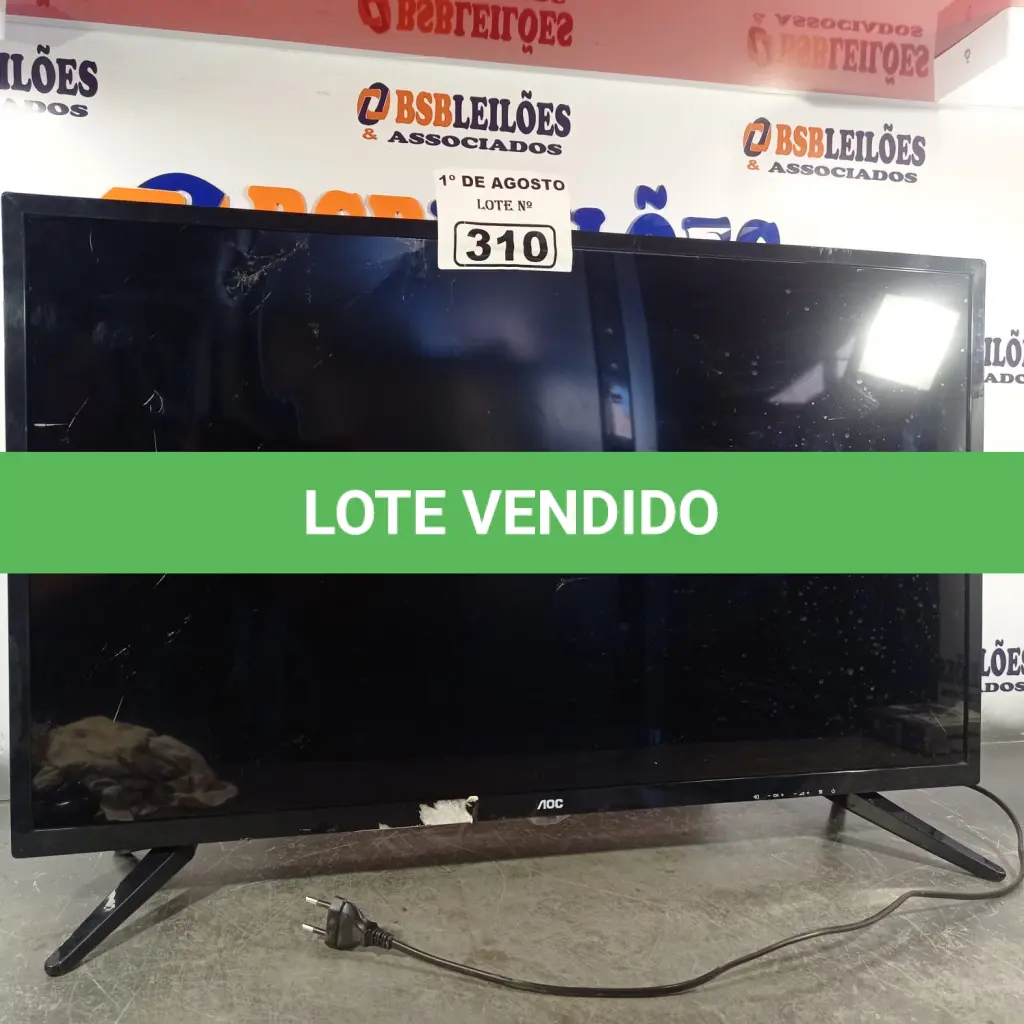 LOTE 310