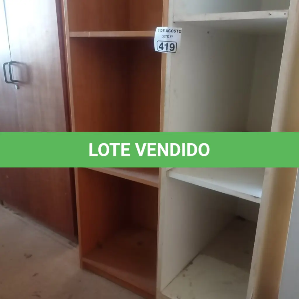 LOTE 419