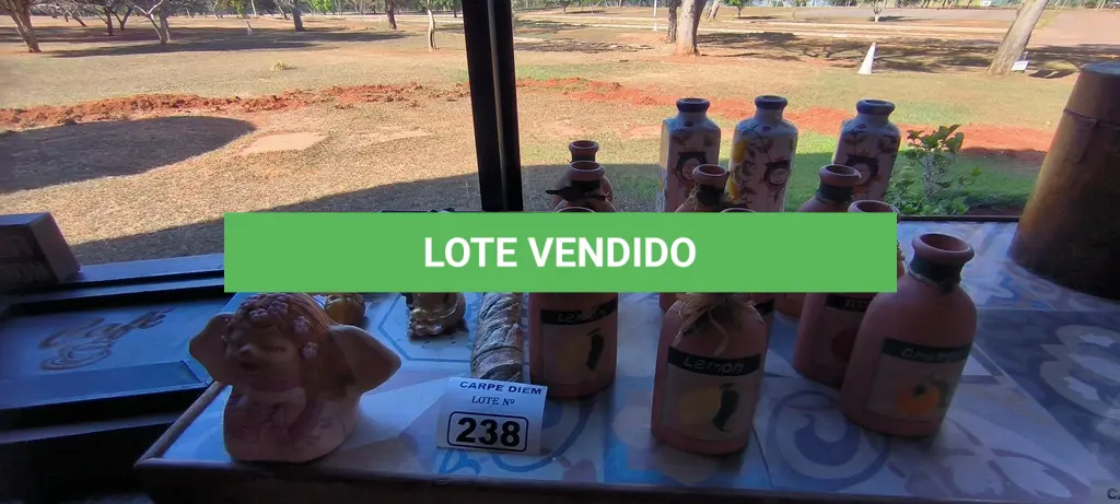LOTE 238