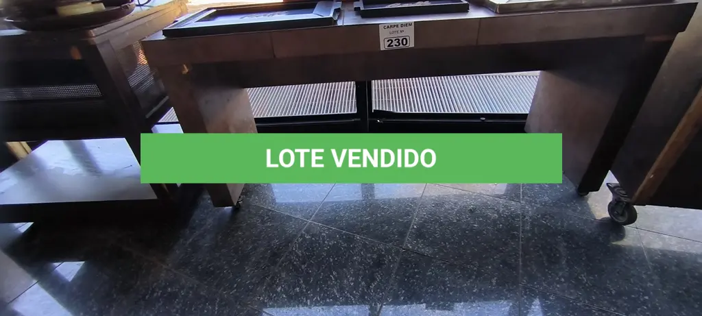 LOTE 230