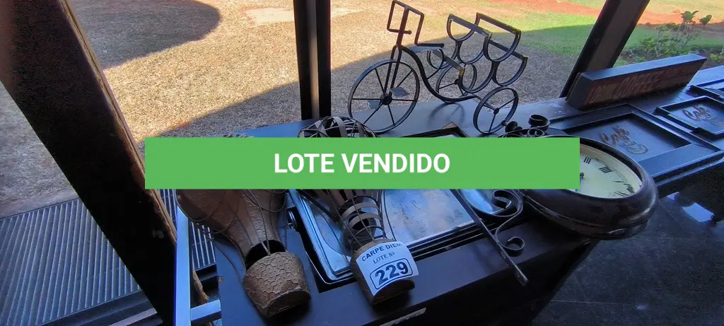 LOTE 229